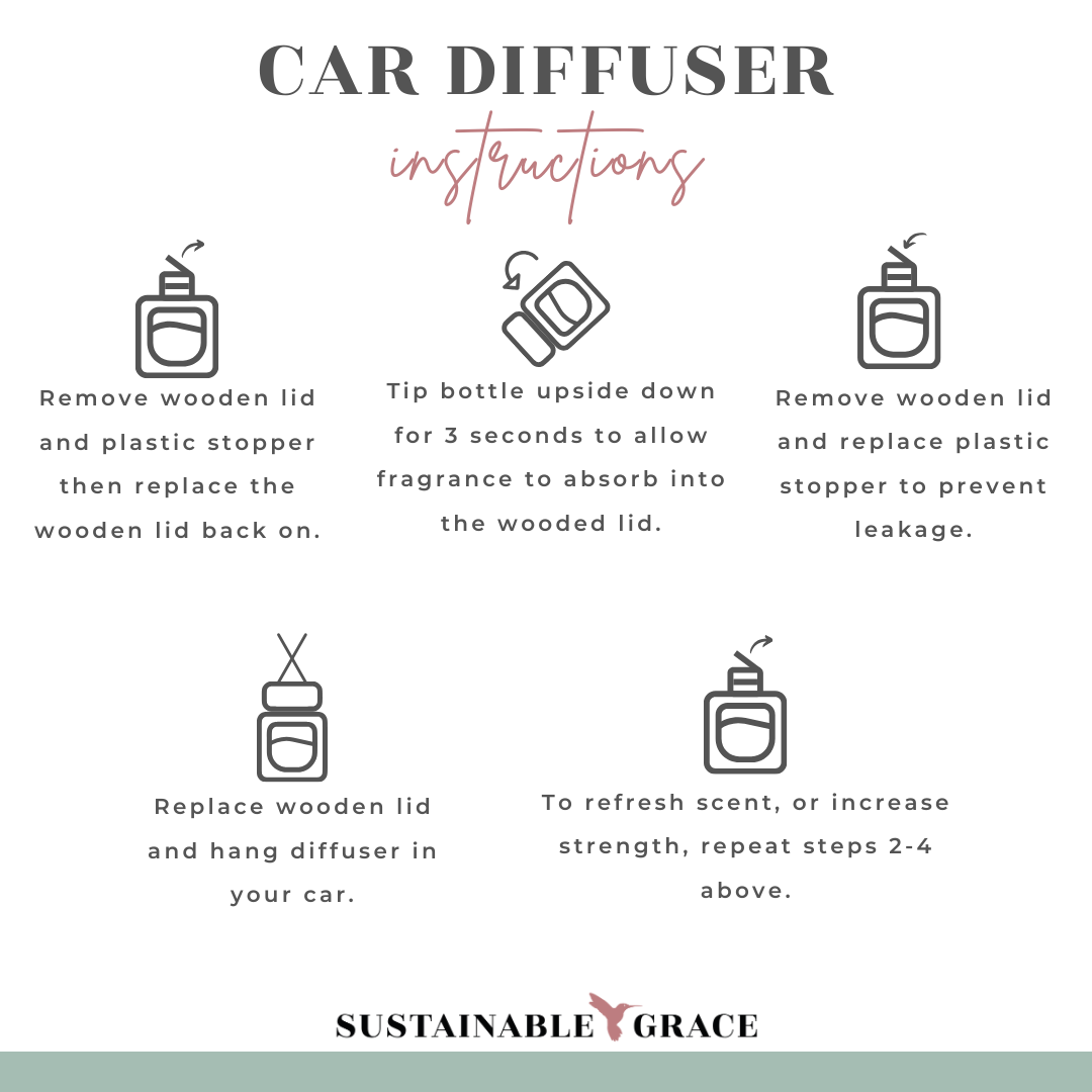Dream Vacation Car Freshener Bundle | Non-Toxic Car Diffuser | Car ...