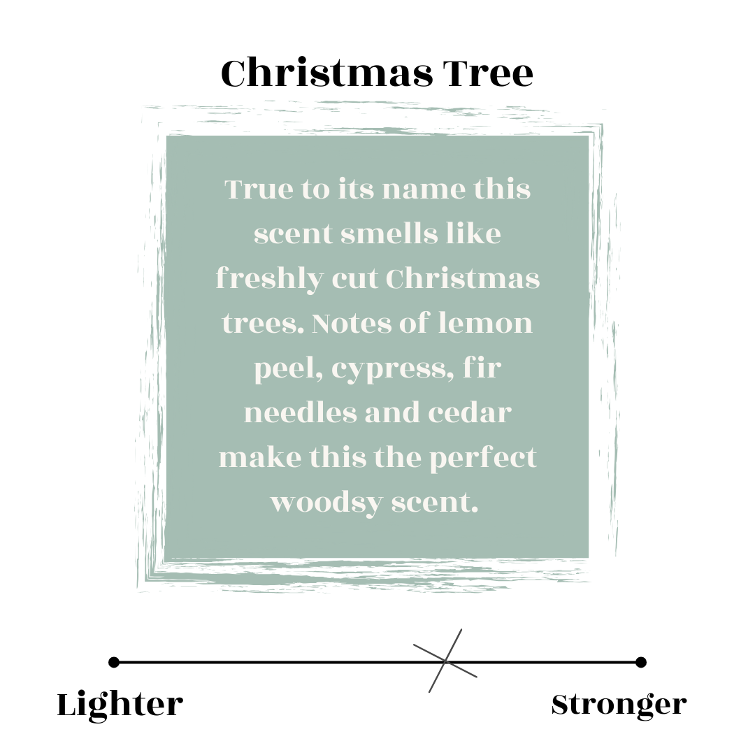 Christmas tree candle scent profile 