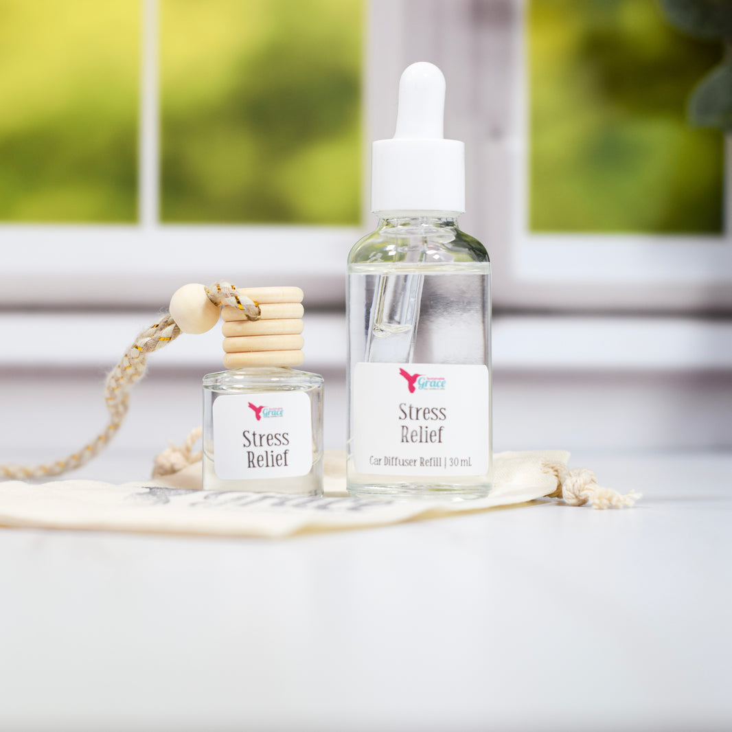 NonToxic Car Air Fresheners Hanging Car Diffuser Cute Car