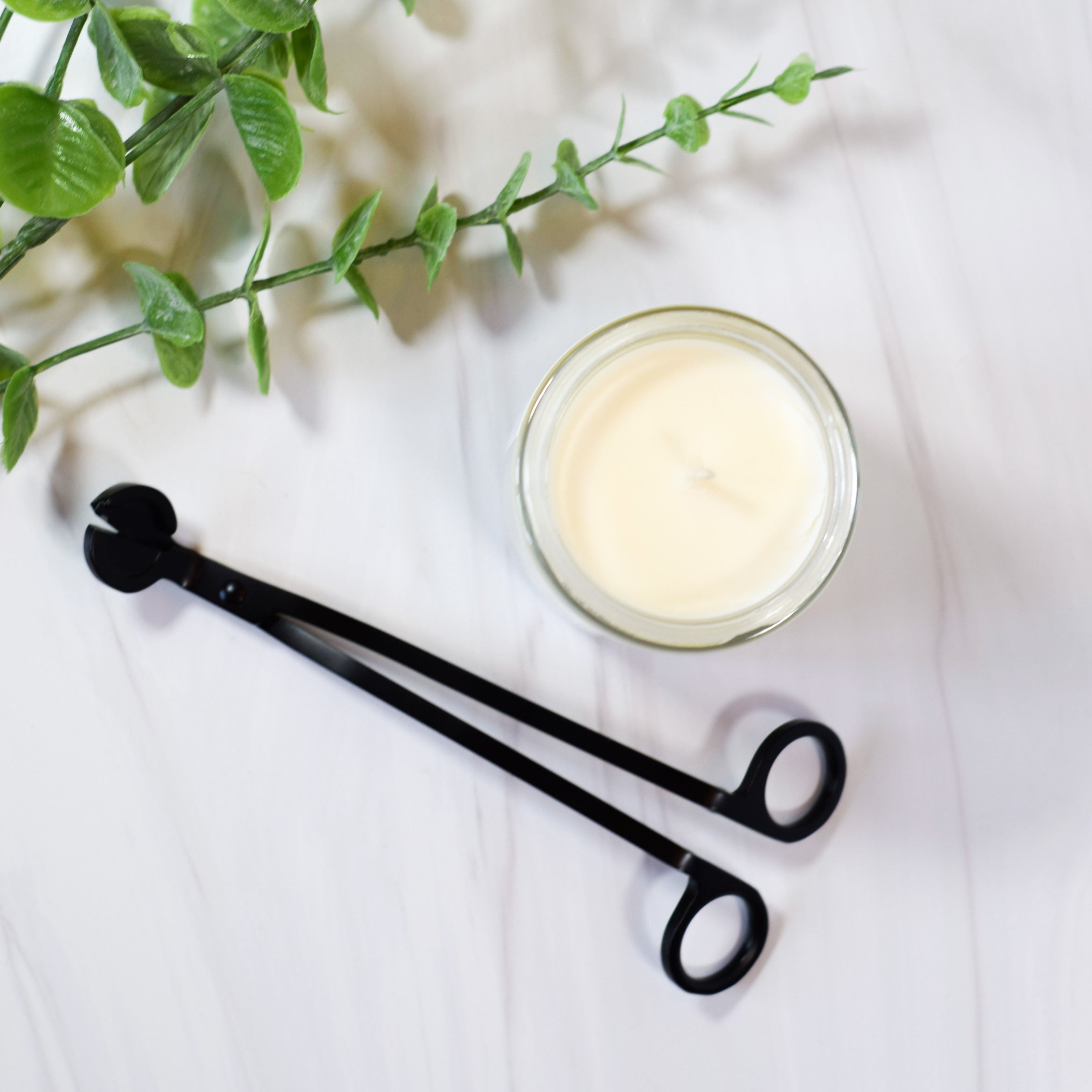 wick trimmer black
