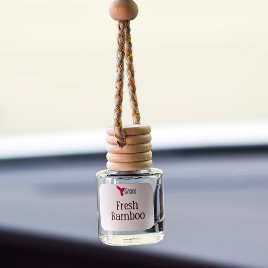 Dream Vacation Car Freshener Bundle NonToxic Car Diffuser Car Freshies Sustainable Grace