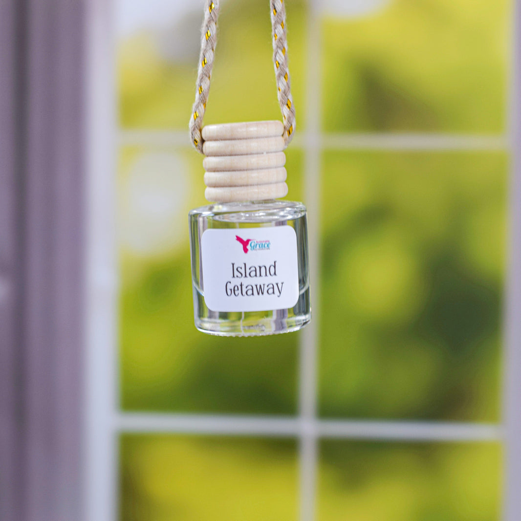 NonToxic Car Air Fresheners Hanging Car Diffuser Cute Car