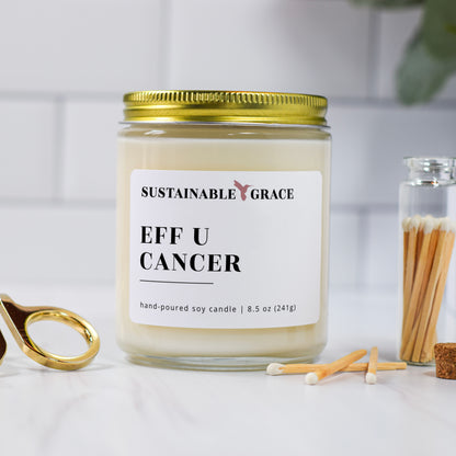 eff u cancer soy candle encouragement gift for cancer patient 