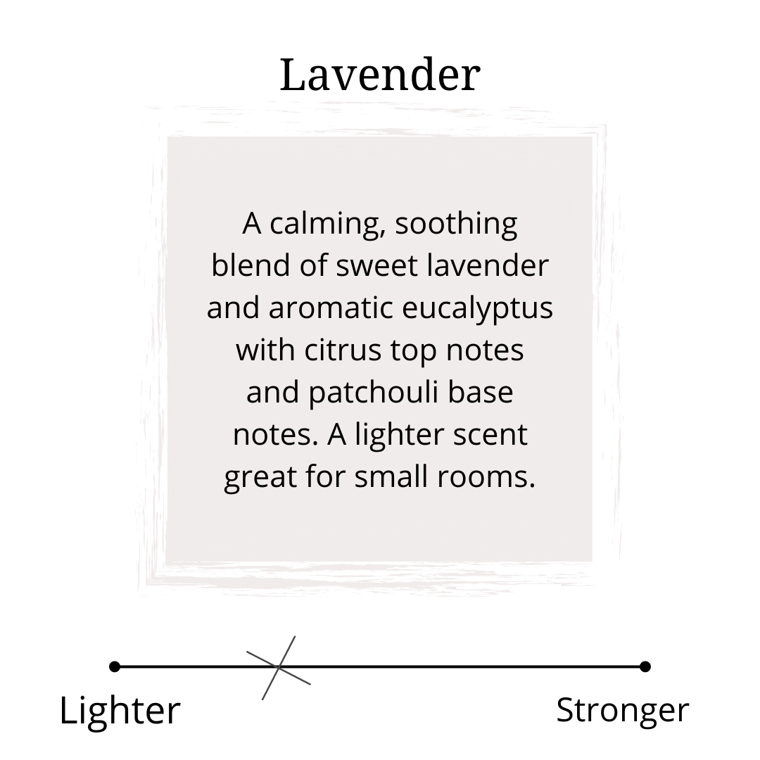 lavender scent profile 