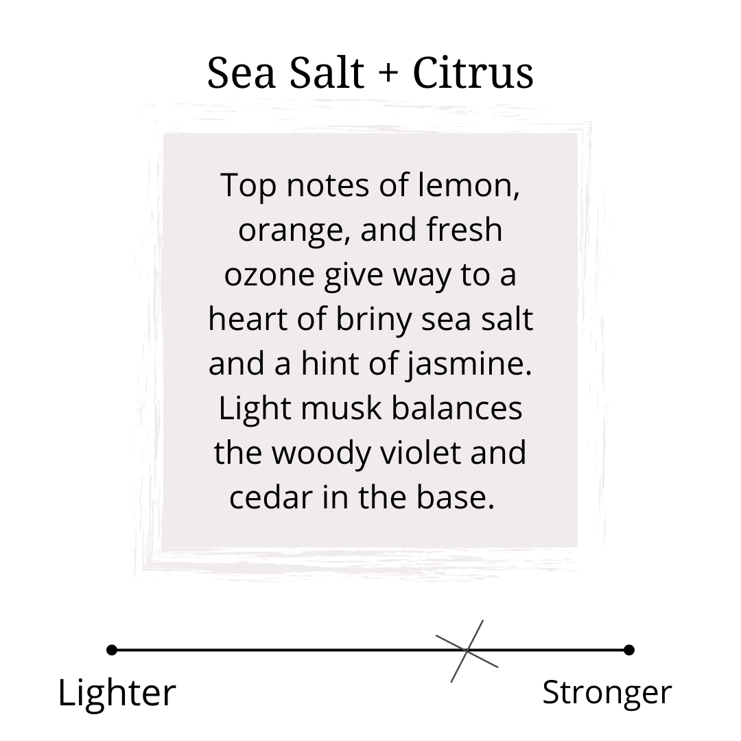 sea salt citrus scent profile