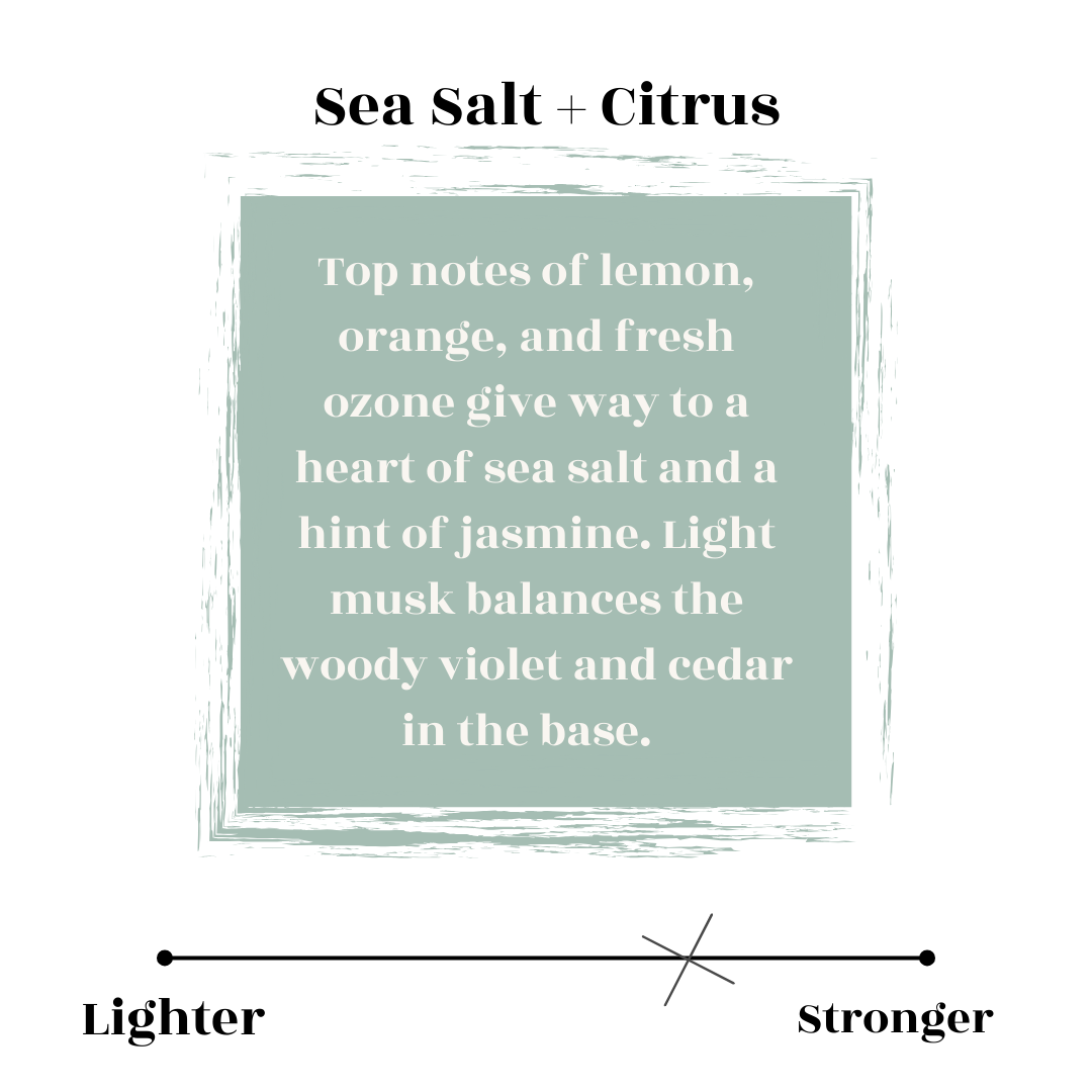 sea salt and citrus scent profile 