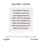 sea salt and citrus scent profile 